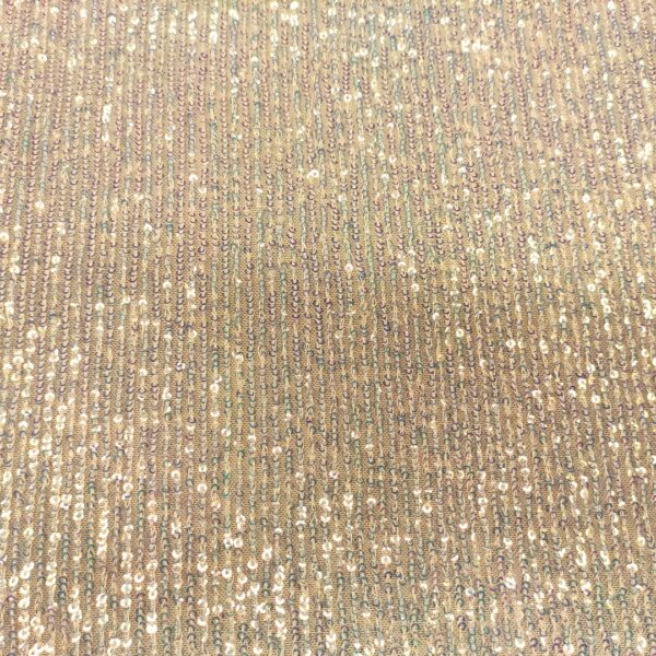 Tessuto Tulle Elasticizzato Ricamato con paillettes tinta unita celeste polvere boreale