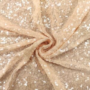 Tessuto Tulle Elasticizzato Ricamato con paillettes a specchio tinta unita pesco